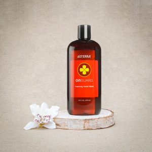 סבון ידיים מקציף on guard foaming hand wash